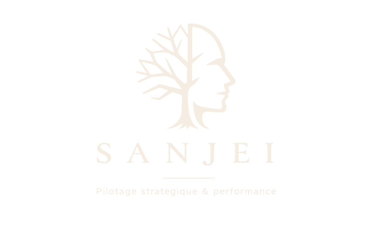 SANJEI — Pilotage stratégique et performance